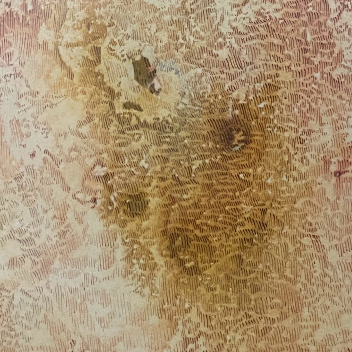 Female Figure