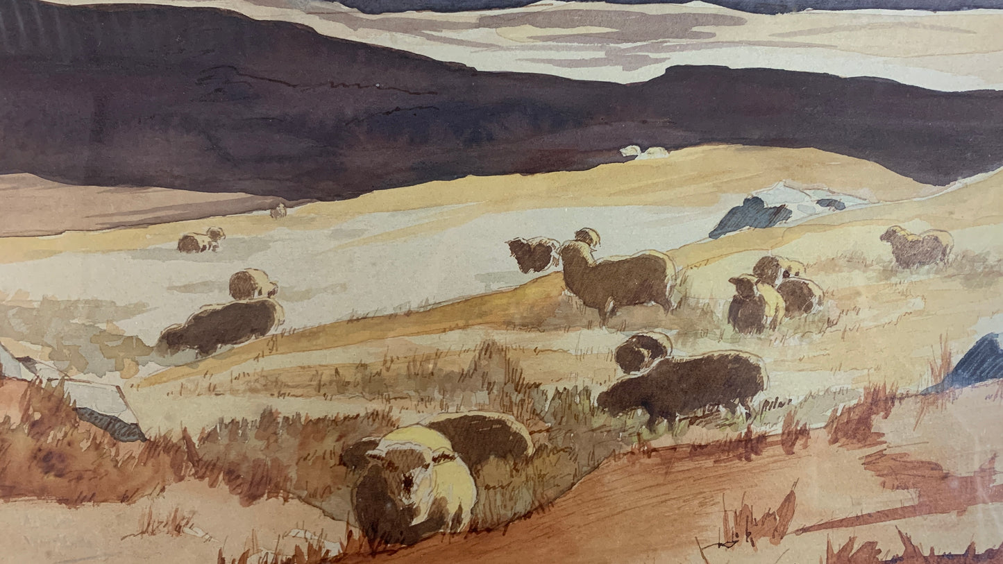 Sheep In Landscape, Eastern Townships