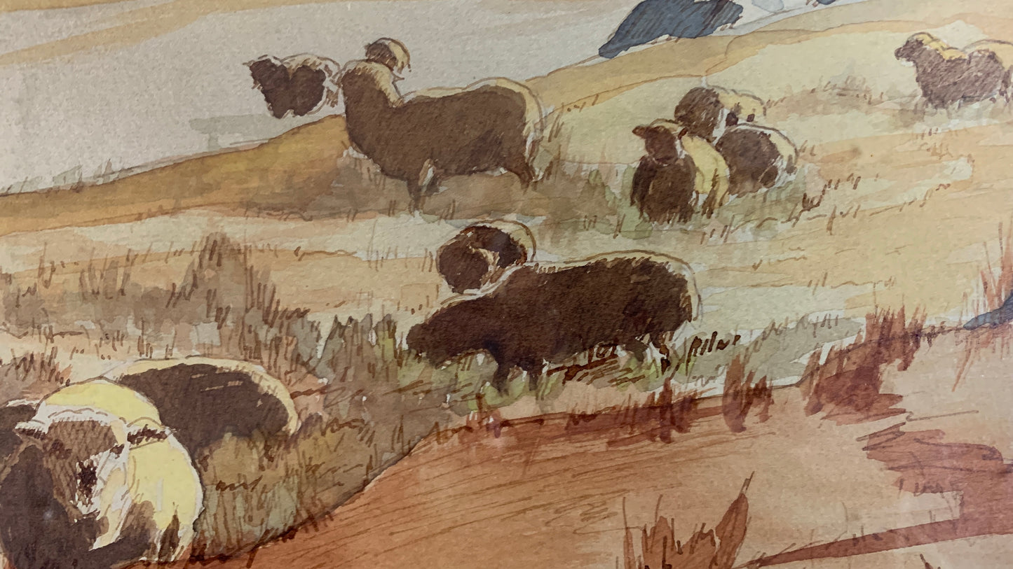 Sheep In Landscape, Eastern Townships