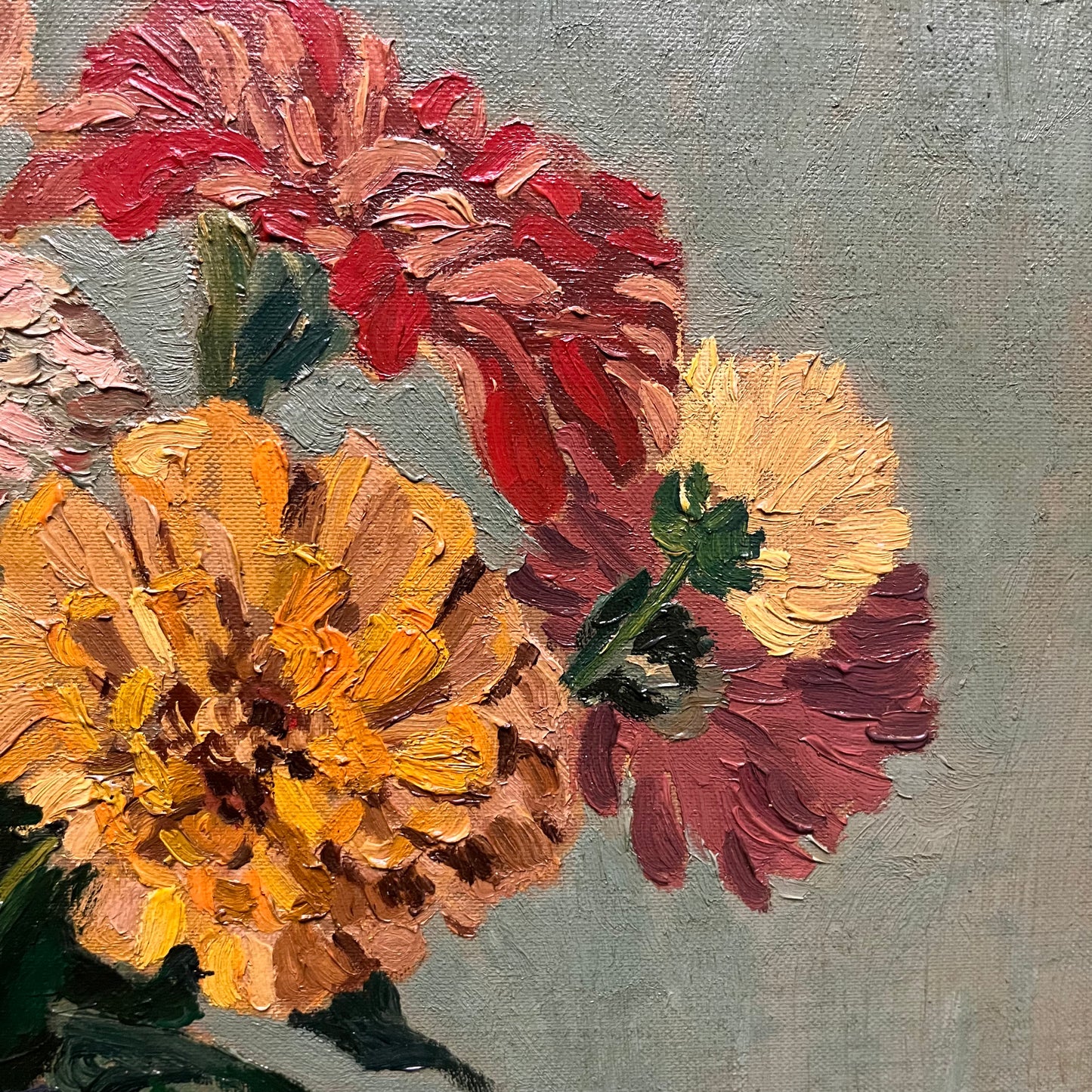 Zinnias